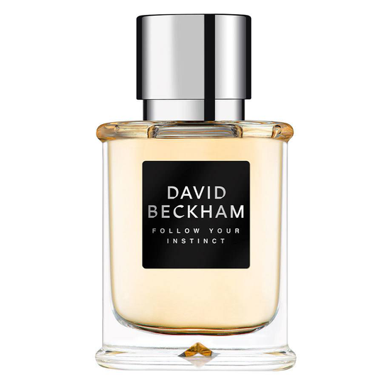 David Beckham Follow Your Instinct Eau De Toilette 50 ml