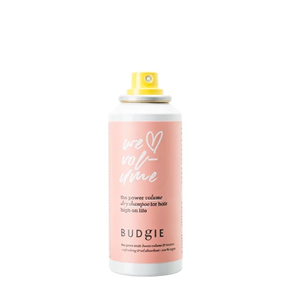 The Mini Volume Dry Shampoo 100 ml