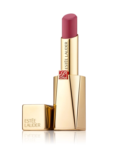 Pure Color Desire Matte Lipstick Insist