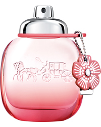 Floral Blush, EdP 50ml