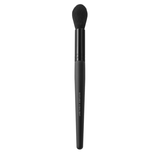 Diffused Highlighter Brush