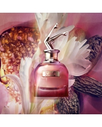 Scandal by Night, EdP 50ml