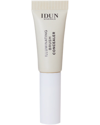 Illuminating Brush Concealer, 3g, Havre