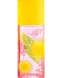 Green Tea Mimosa, EdT 100ml