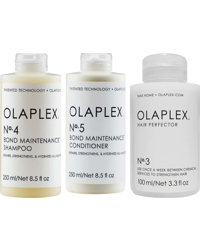 Trio 1 - Shampoo, Conditioner & Perfector, 250+250+100ml
