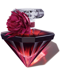 La Nuit Trésor Intense, EdP 30ml