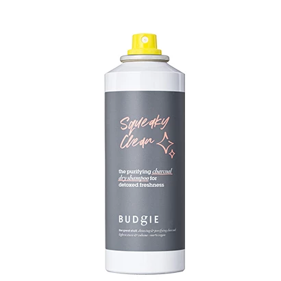 The Charcoal Dry Shampoo 200 ml