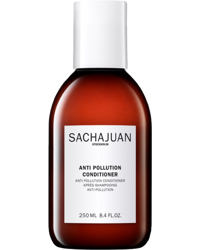 Anti-Pollution Condition, 250ml