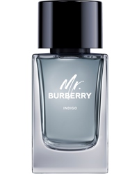 Mr. Burberry Indigo, EdT 100ml