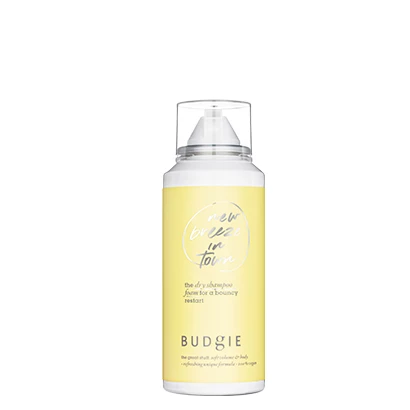 The Mini Dry Shampoo Foam 100 ml