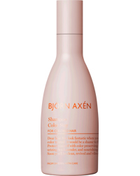 Color Stay Shampoo, 250 ml