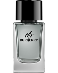 Mr. Burberry, EdT 100ml